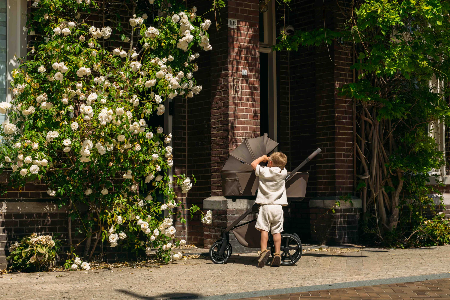 Award-Winning Strollers, Effortless Style